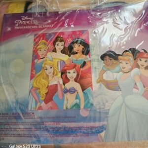 Disney Princess Twin Raschel Blanket - Pink and Blue